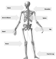 Back to Body Parts